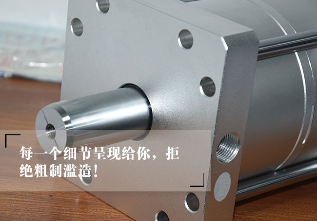 雙倍力氣缸端蓋細節(jié)圖